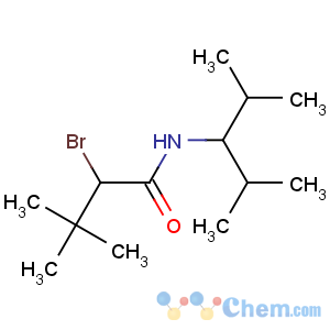 CAS No:69959-85-9 n1-(1-isopropyl-2-methylpropyl)-2-bromo-3,3-dimethylbutanamide