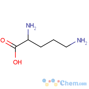 CAS No:70-26-8 (2S)-2,5-diaminopentanoic acid