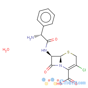 CAS No:70356-03-5 Cefaclor monohydrate