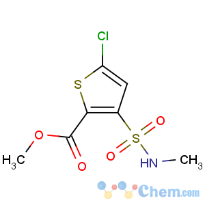 CAS No:70374-37-7 methyl 5-chloro-3-(methylsulfamoyl)thiophene-2-carboxylate