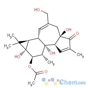 CAS No:70470-59-6 phorbol 12-monoacetate, 4beta