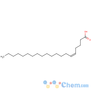 CAS No:7050-07-9 cis-5-eicosenoic acid