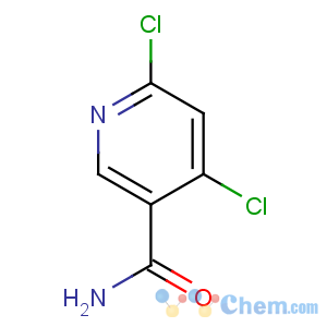 CAS No:70593-57-6 4,6-dichloropyridine-3-carboxamide
