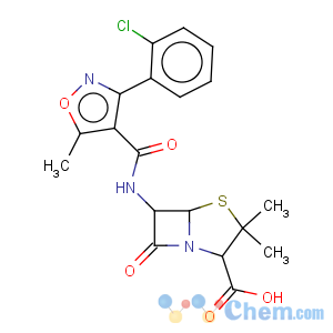 CAS No:7060-81-3 cloxacillin sodium