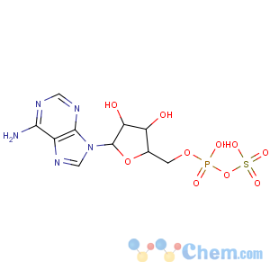 CAS No:70621-14-6 [(2R,3S,4R,5R)-5-(6-aminopurin-9-yl)-3,4-dihydroxyoxolan-2-yl]methyl<br />sulfo hydrogen phosphate