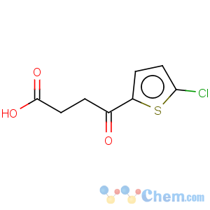 CAS No:70685-06-2 2-Thiophenebutanoicacid, 5-chloro-g-oxo-