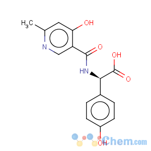 CAS No:70785-61-4 2-(4-Hydroxy-6-methylnicotinamido)-2-(4-hydroxyphenyl)acetic acid