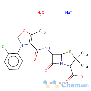 CAS No:7081-44-9 Cloxacillin sodium