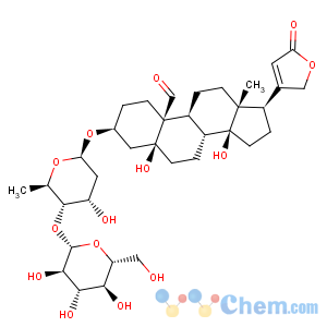 CAS No:7082-34-0 ERYSIMOSIDE
