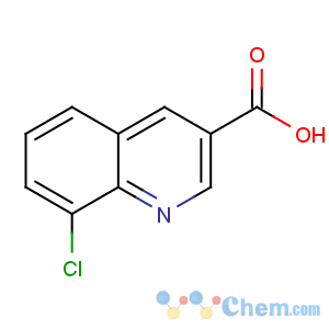 CAS No:71082-54-7 8-chloroquinoline-3-carboxylic acid