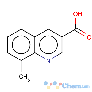 CAS No:71082-55-8 8-methyl-quinoline-3-carboxylic acid