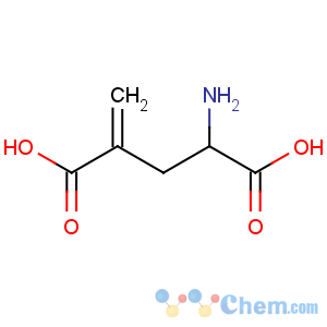 CAS No:7150-74-5 Glutamic acid,4-methylene-