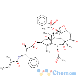 CAS No:71610-00-9 Cephalomannine