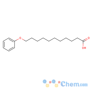 CAS No:7170-44-7 11-phenoxyundecanoic acid