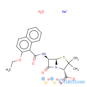 CAS No:7177-50-6 Nafcillin sodium salt monohydrate