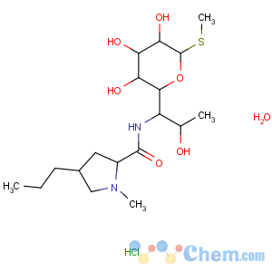 CAS No:7179-49-9 Lincomycin hydrochloride monohydrate