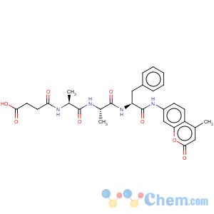 CAS No:71973-79-0 L-Phenylalaninamide,N-(3-carboxy-1-oxopropyl)-L-alanyl-L-alanyl-N-(4-methyl-2-oxo-2H-1-benzopyran-7-yl)-