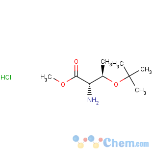 CAS No:71989-43-0 L-Threonine,O-(1,1-dimethylethyl)-, methyl ester, hydrochloride (1:1)