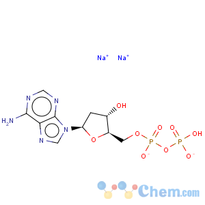 CAS No:72003-83-9 2'-Deoxyadenosine-5'-diphosphate disodium salt