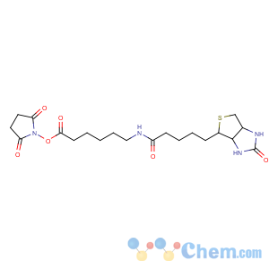 CAS No:72040-63-2 (2,5-dioxopyrrolidin-1-yl)<br />6-[5-[(3aS,4S,6aR)-2-oxo-1,3,3a,4,6,6a-hexahydrothieno[3,<br />4-d]imidazol-4-yl]pentanoylamino]hexanoate