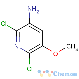 CAS No:720666-44-4 2,6-dichloro-5-methoxypyridin-3-amine