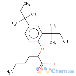 CAS No:72076-45-0 2-[2,4-bis(1,1-dimethylpropyl)phenoxy]hexanoic acid