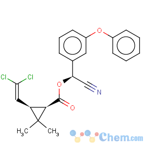 CAS No:72204-44-5 Cyclopropanecarboxylicacid, 3-(2,2-dichloroethenyl)-2,2-dimethyl-, (R)-cyano(3-phenoxyphenyl)methylester, (1S,3S)-