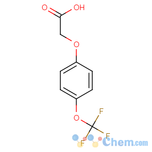 CAS No:72220-50-9 2-[4-(trifluoromethoxy)phenoxy]acetic acid