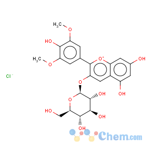 CAS No:7228-78-6 1-Benzopyrylium, 3-(b-D-glucopyranosyloxy)-5,7-dihydroxy-2-(4-hydroxy-3,5-dimethoxyphenyl)-,chloride (1:1)