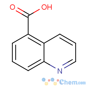 CAS No:7250-53-5 quinoline-5-carboxylic acid