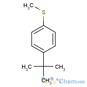 CAS No:7252-86-0 1-tert-butyl-4-methylsulfanylbenzene