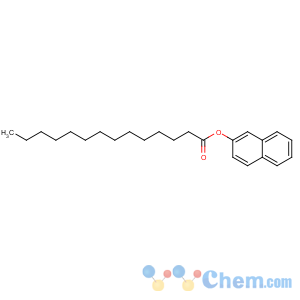 CAS No:7262-80-8 naphthalen-2-yl tetradecanoate
