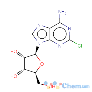 CAS No:72635-67-7 9H-Purin-6-amine,2-chloro-9-b-L-ribofuranosyl-