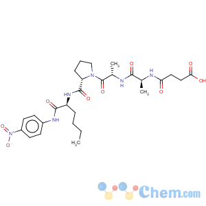 CAS No:72682-72-5 suc-ala-ala-pro-nle-pna