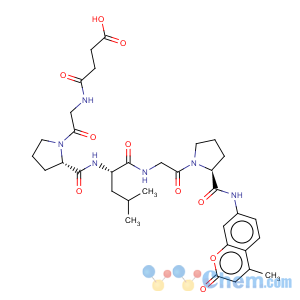 CAS No:72698-36-3 L-Prolinamide,N-(3-carboxy-1-oxopropyl)glycyl-L-prolyl-L-leucylglycyl-N-(4-methyl-2-oxo-2H-1-benzopyran-7-yl)-