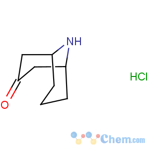 CAS No:72761-60-5 9-azabicyclo[3.3.1]nonan-3-one