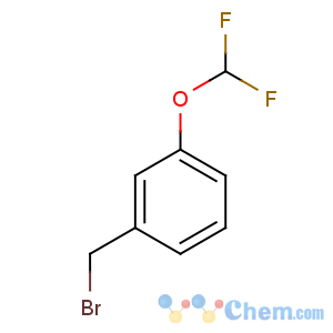 CAS No:72768-95-7 1-(bromomethyl)-3-(difluoromethoxy)benzene