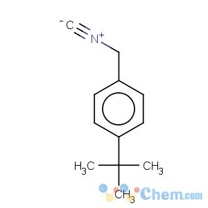 CAS No:728919-99-1 Benzene,1-(1,1-dimethylethyl)-4-(isocyanomethyl)-