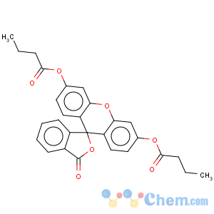 CAS No:7298-65-9 fluorescein dibutyrate