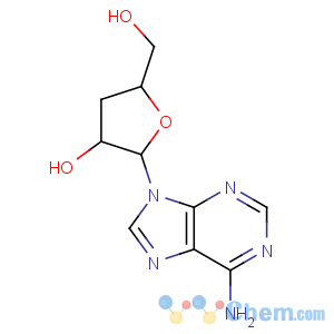 CAS No:73-03-0 (2R,3R,5S)-2-(6-aminopurin-9-yl)-5-(hydroxymethyl)oxolan-3-ol