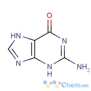 CAS No:73-40-5 2-amino-3,7-dihydropurin-6-one