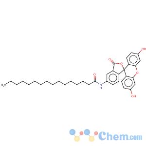 CAS No:73024-80-3 Hexadecanamide,N-(3',6'-dihydroxy-3-oxospiro[isobenzofuran-1(3H),9'-[9H]xanthen]-5-yl)-