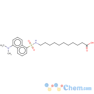 CAS No:73025-02-2 Undecanoic acid,11-[[[5-(dimethylamino)-1-naphthalenyl]sulfonyl]amino]-
