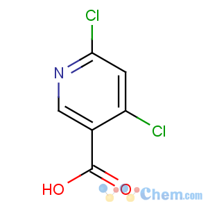 CAS No:73027-79-9 4,6-dichloropyridine-3-carboxylic acid