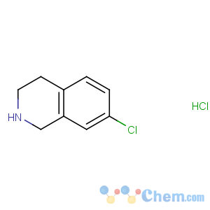 CAS No:73075-45-3 7-chloro-1,2,3,4-tetrahydroisoquinoline