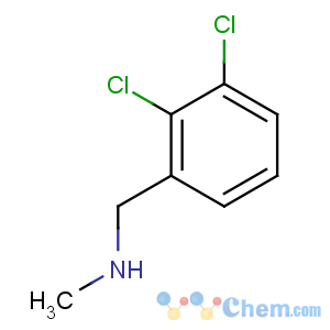 CAS No:731827-07-9 1-(2,3-dichlorophenyl)-N-methylmethanamine