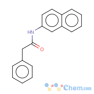 CAS No:73190-70-2 n-(2-naphthyl)-2-phenylacetamide