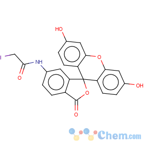 CAS No:73264-12-7 Acetamide,N-(3',6'-dihydroxy-3-oxospiro[isobenzofuran-1(3H),9'-[9H]xanthen]-6-yl)-2-iodo-