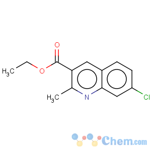 CAS No:733719-74-9 7-chloro-2-methyl-quinoline-3-carboxylic acid ethyl ester