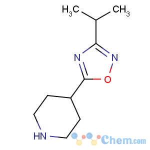 CAS No:733748-92-0 5-piperidin-4-yl-3-propan-2-yl-1,2,4-oxadiazole